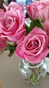 Some roses to appease you!